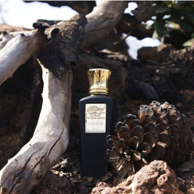 Blend Oud Oud al Emarat Parfum